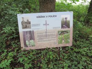 výstava